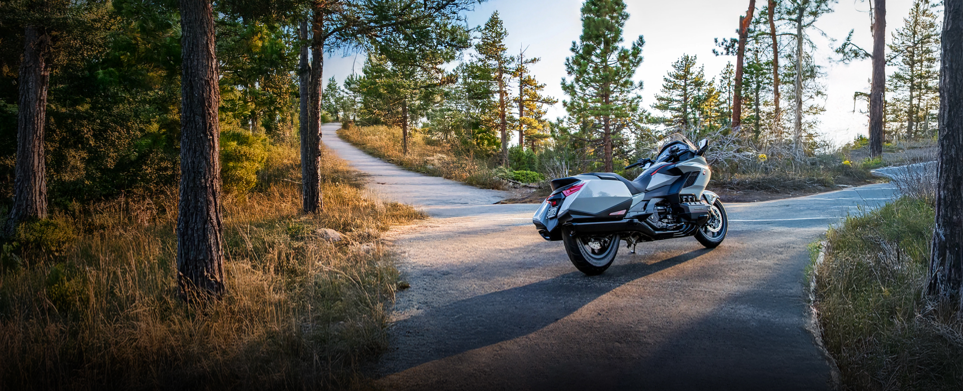 GL1800 Gold Wing Bagger